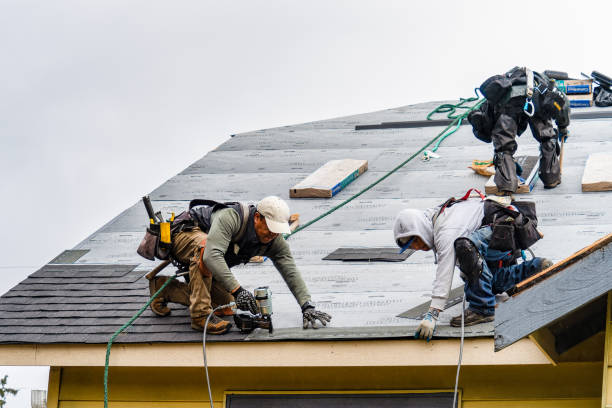 Professional Storm Damage Roof Repair technician working in Borup, MN