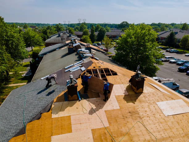 24/7 Emergency Storm Damage Roof Repair experts in Borup, MN